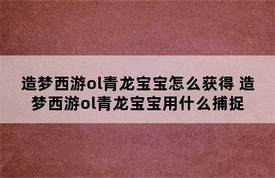 造梦西游ol青龙宝宝怎么获得 造梦西游ol青龙宝宝用什么捕捉